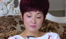 电视剧麻辣芳邻全集播放,邻里情谊与生活百态的温馨画卷