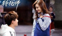 偶像电视剧,梦想与现实的交织